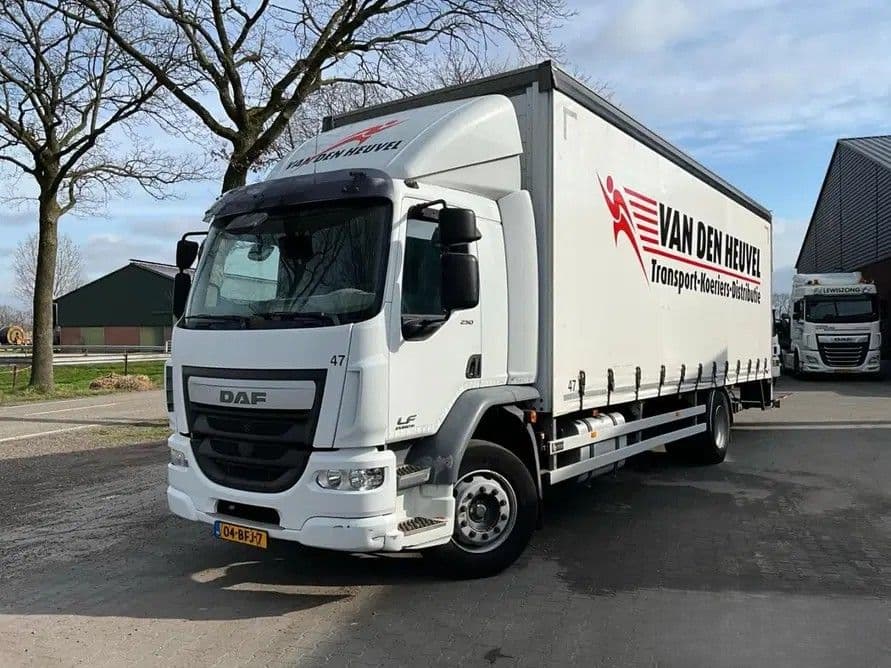 DAF LF 250 año 2014